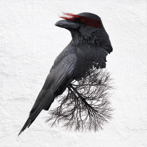 Figyelemfelhívás a művészet eszközével – dupla expozíció – Nemigen! Magazin