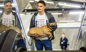 Kutyád van és tömegközlekednél?