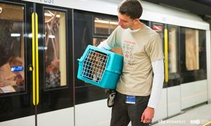 Kutyád van és tömegközlekednél?