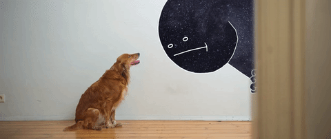 Mr. Night kikapcsolja a nappalt